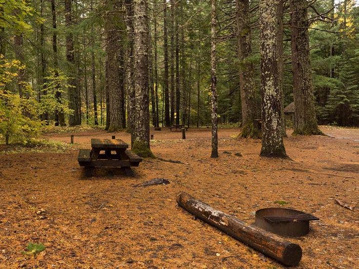 Camper submitted image from Oklahoma Campground - 3