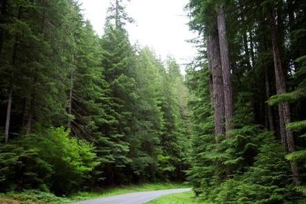 Camper submitted image from Sol Duc Hot Springs Resort Campground — Olympic National Park - 3