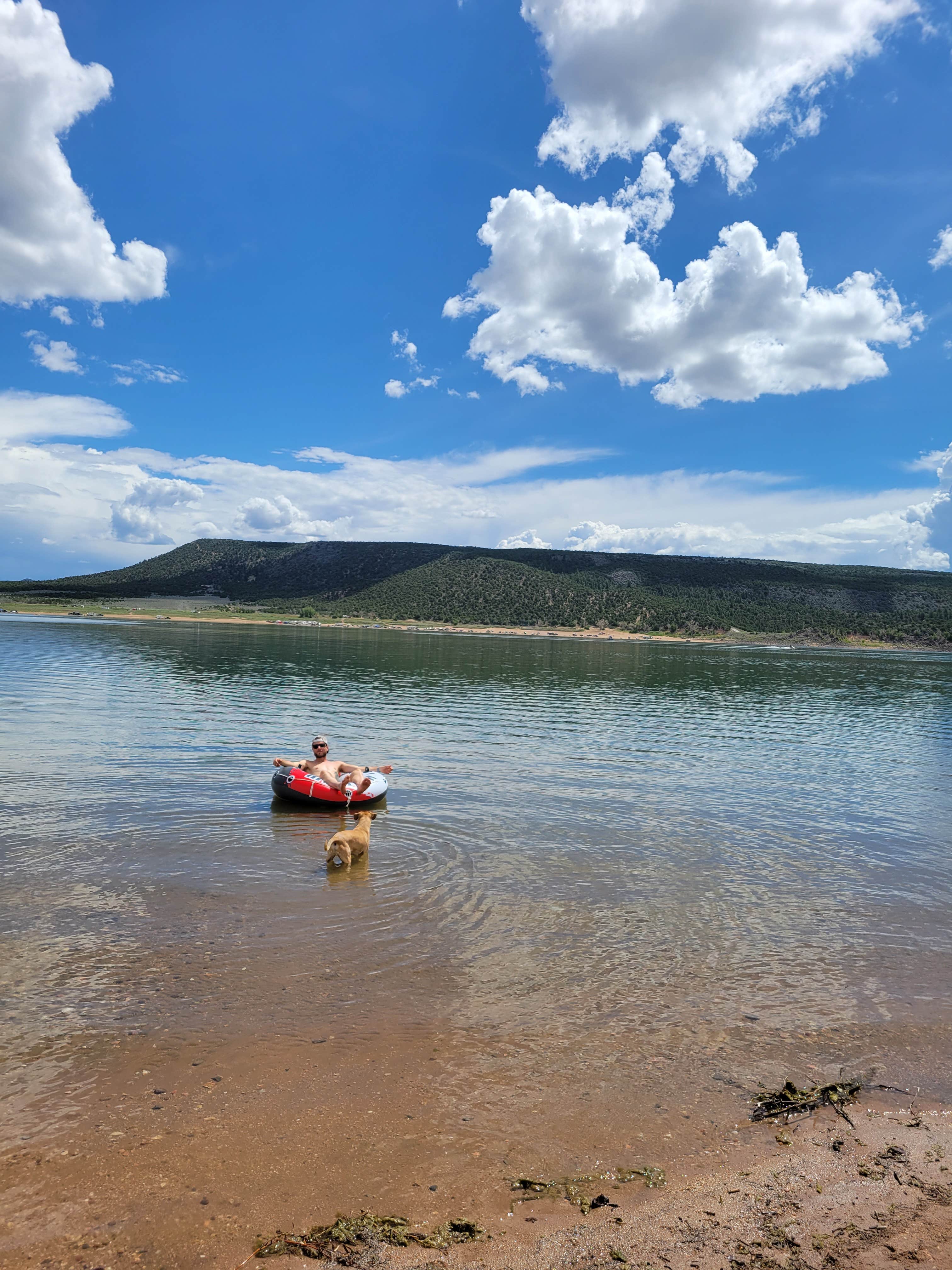 Ian K.'s photo of camping with pets at Blanca View near San Luis, CO