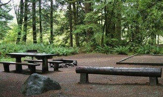 Camping near Baker Lake Horse Camp: Panorama Point Campground, Concrete, Washington