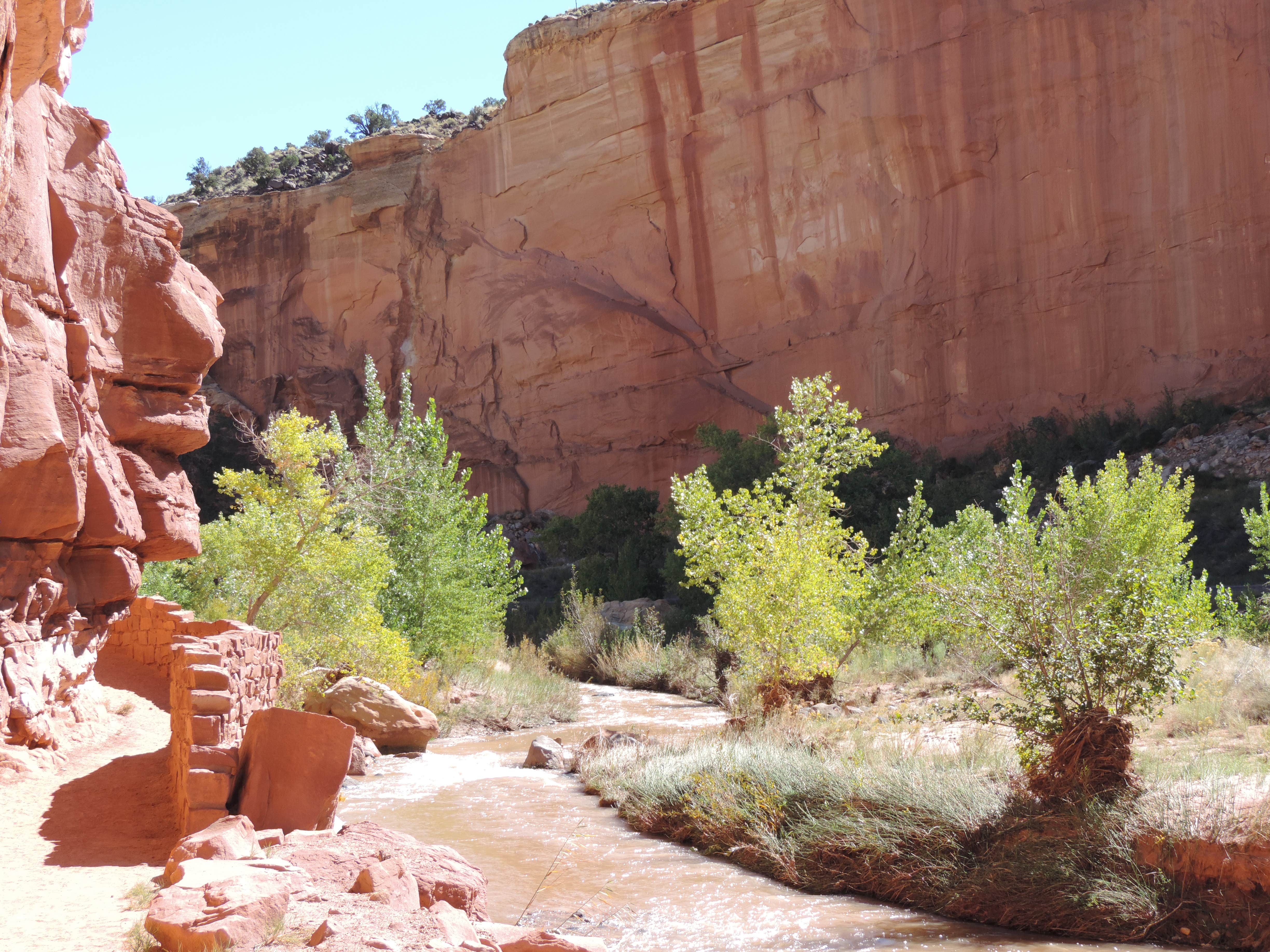 Fruita campground shop