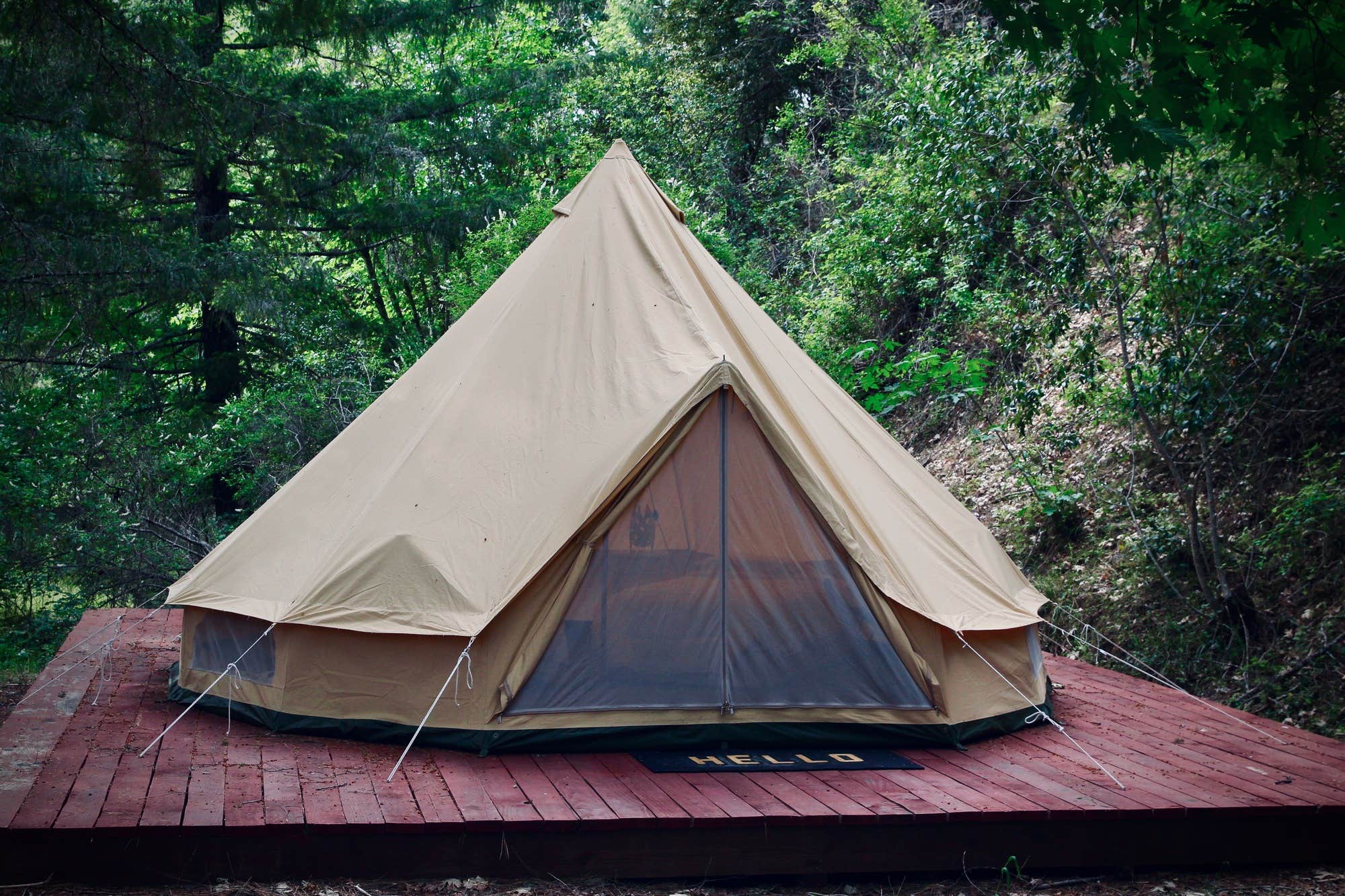 The Dyrt's photo at Mendocino Magic near Leggett, CA