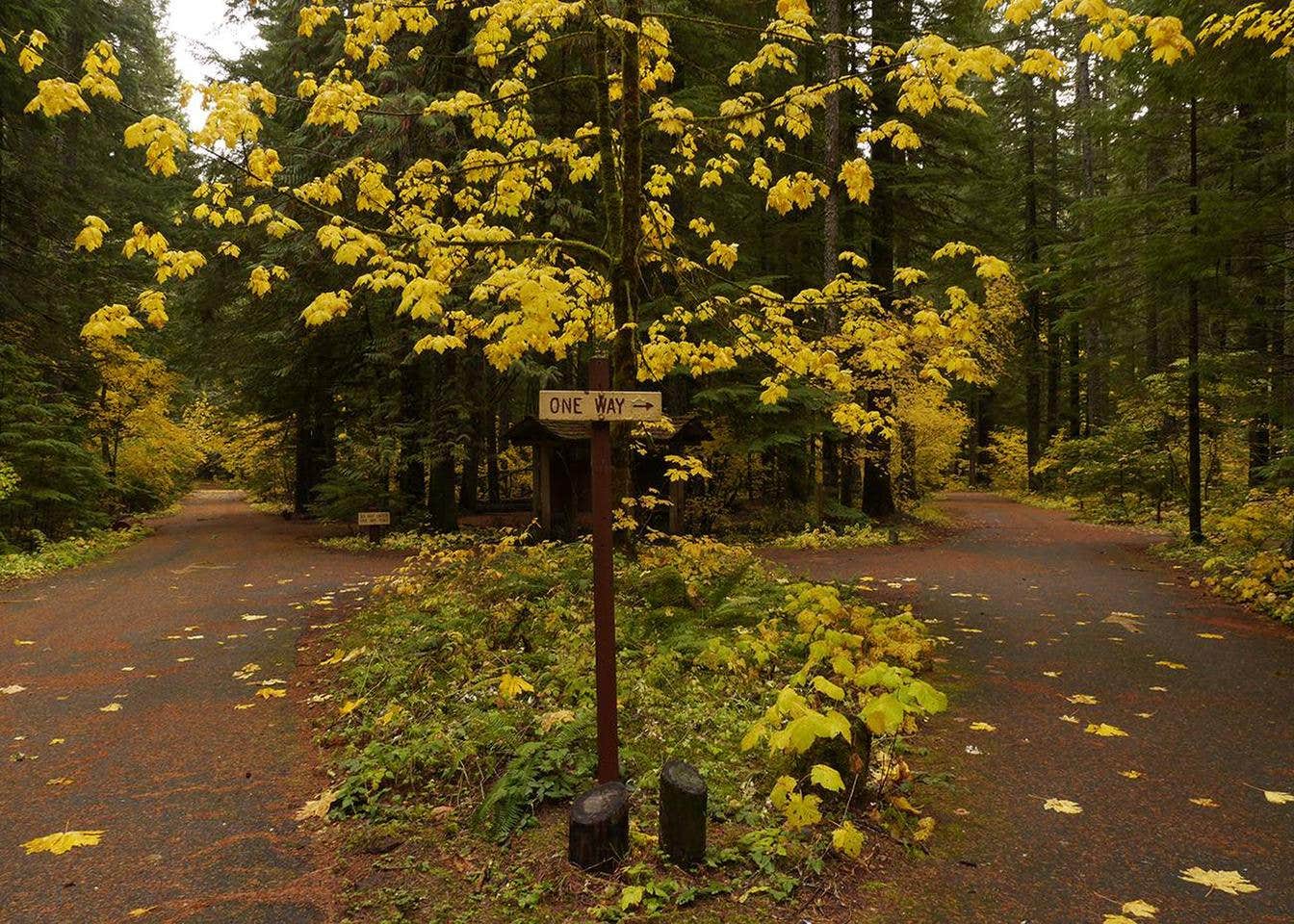 Paradise Creek Campground Camping The Dyrt