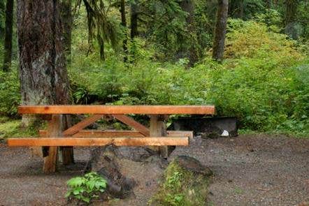 Camper submitted image from Park Creek Campground - 2