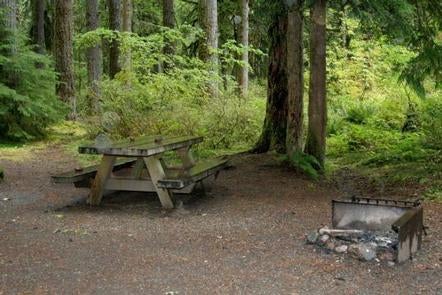 Camper submitted image from Park Creek Campground - 4