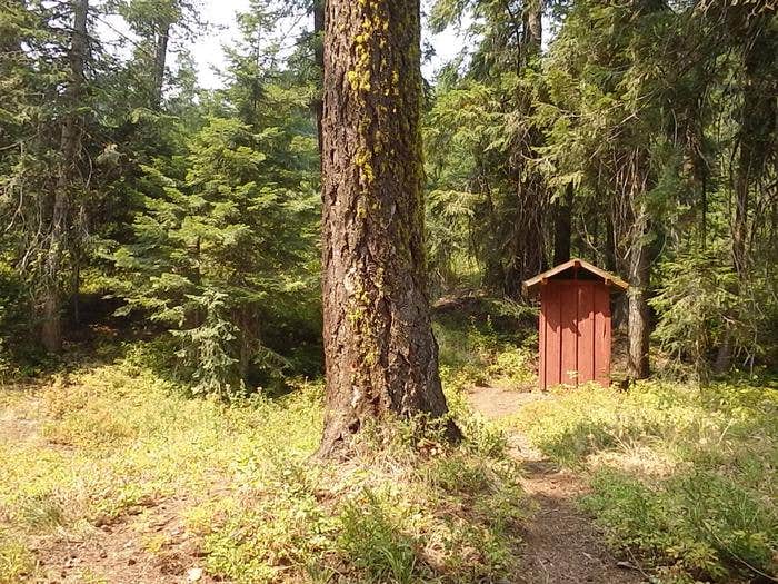 Camper submitted image from Pine Needle Group Site - 3