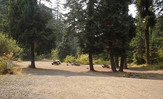 Camping near American River Guard Station: Pine Needle Group Site, Goose Prairie, Washington