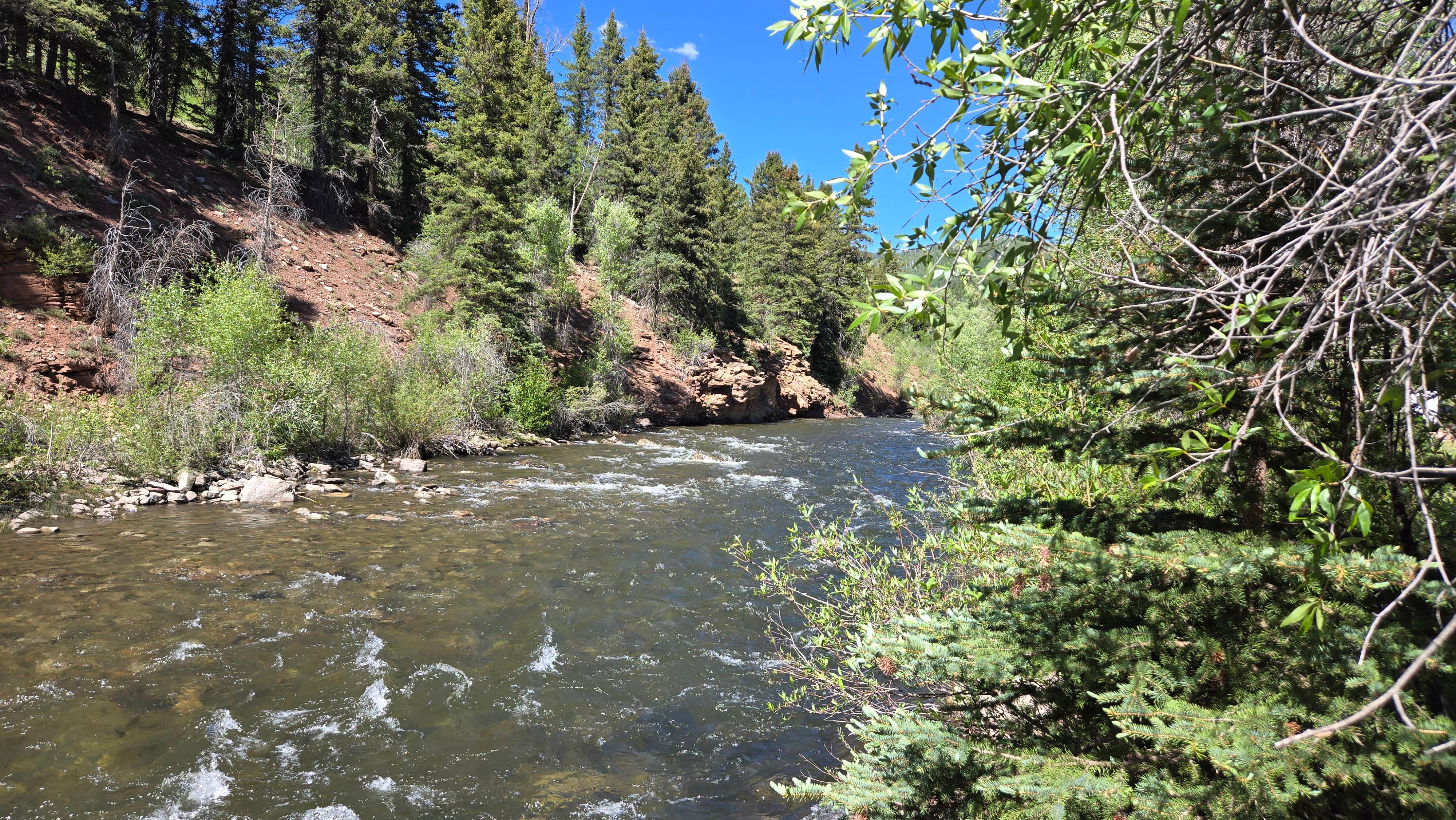 Camper-submitted photo at Roche Gulch near Delores River near Purgatory, CO