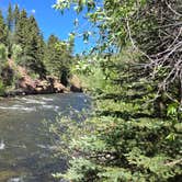 Review photo of Roche Gulch near Delores River by David Y., June 25, 2024