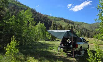Camping near West Steer Resevoir: Roche Gulch near Delores River, Rico, Colorado