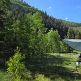 Review photo of Roche Gulch near Delores River by David Y., June 25, 2024