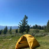 Review photo of Curtis Canyon Dispersed Camping by Audrey W., June 25, 2024