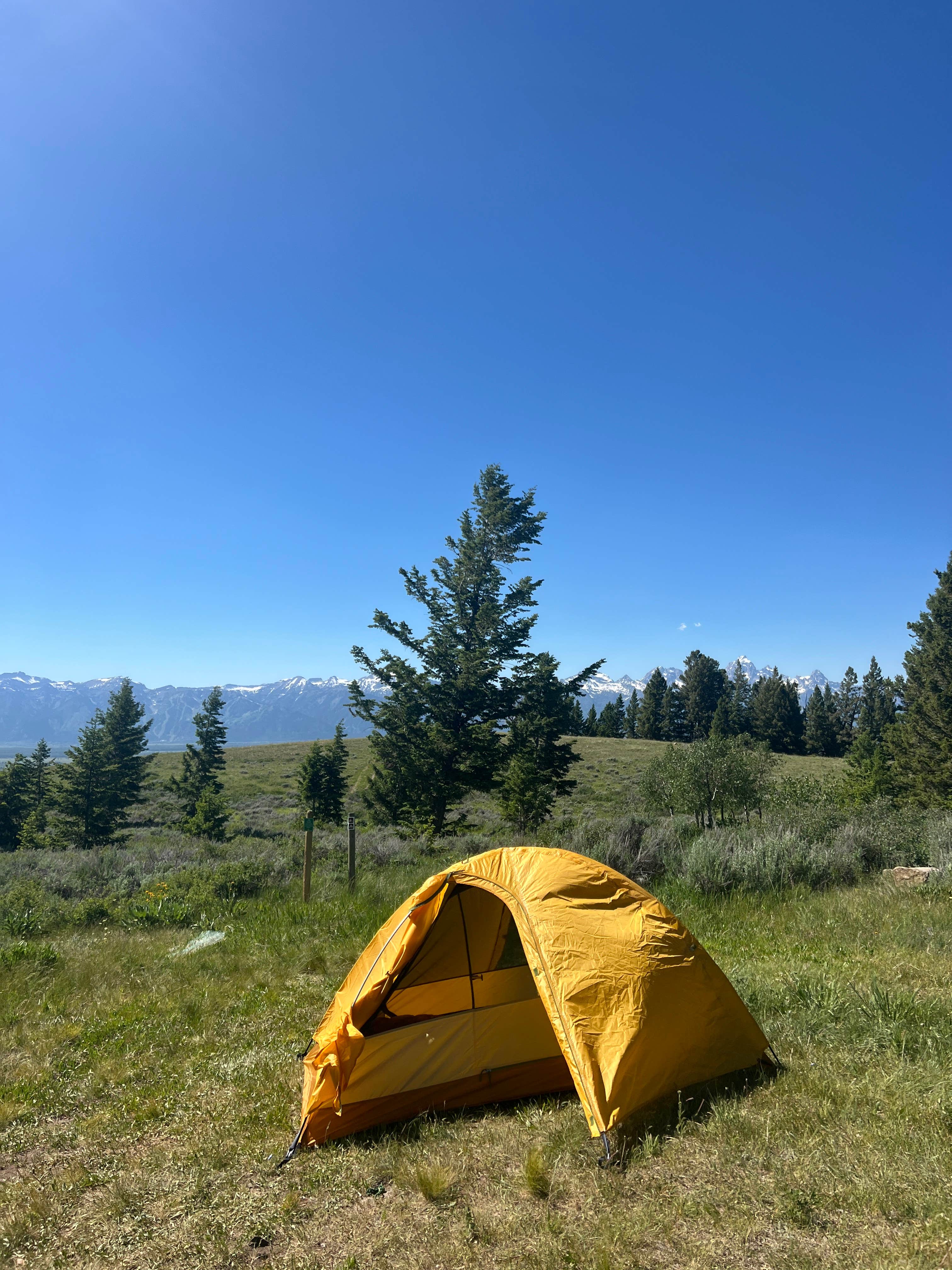 Camper submitted image from Curtis Canyon Dispersed Camping - 1