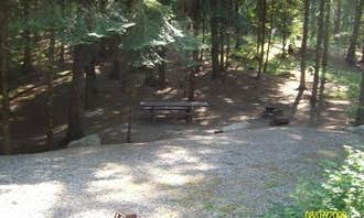 Camping near Albeni Cove: Pioneer Park, Newport, Washington