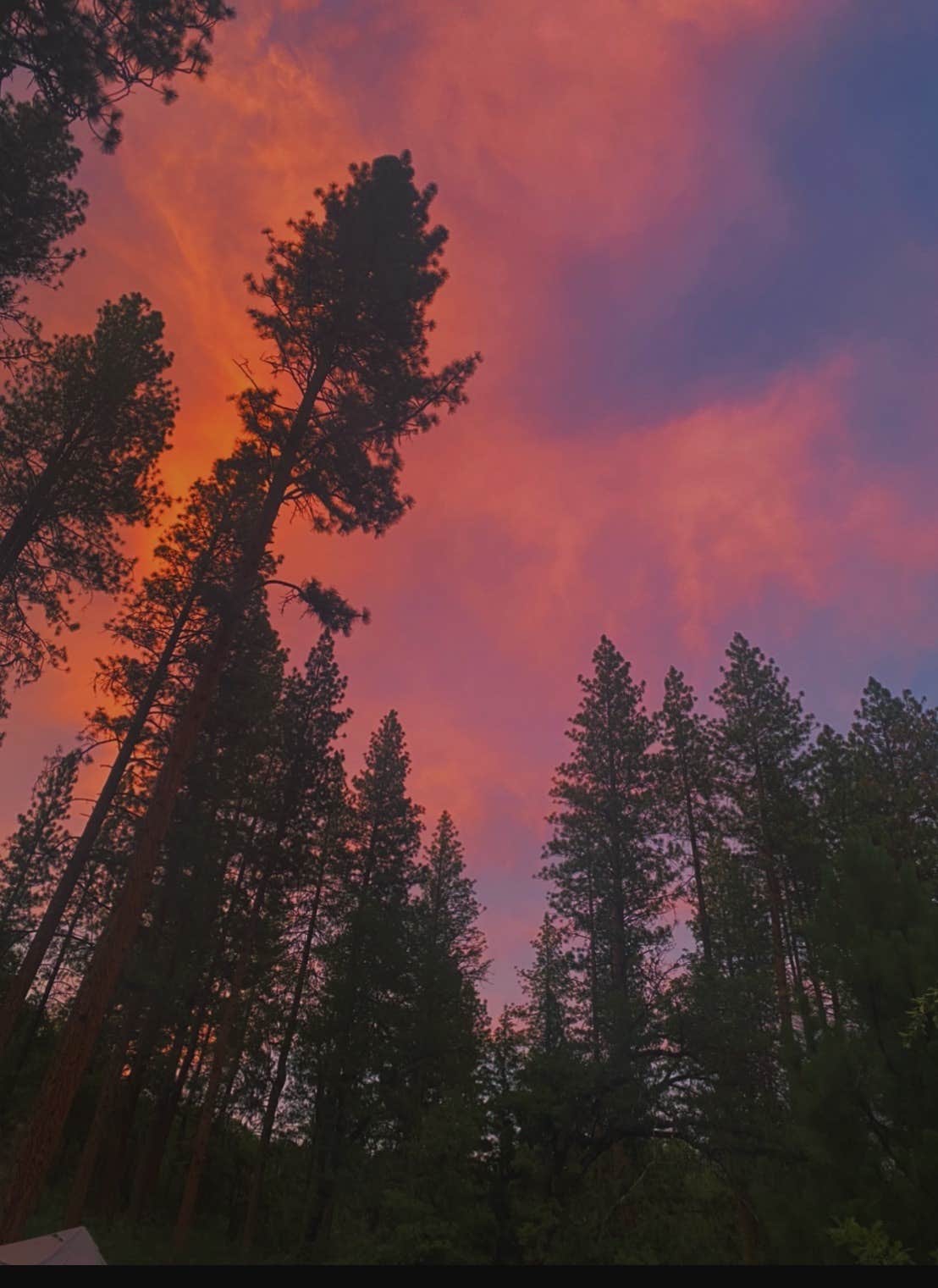 Camping near Inter-Mountain Fair of Shasta County: Dusty Campground, Cassel, California