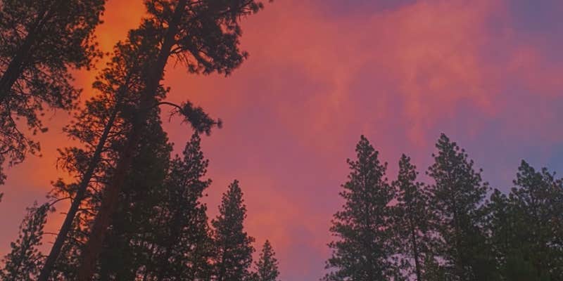 Camper submitted image from Dusty Campground