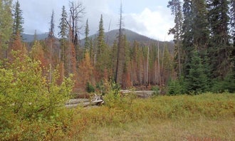 Camping near Corral Pass Campground: Pleasant Valley Campground, Goose Prairie, Washington