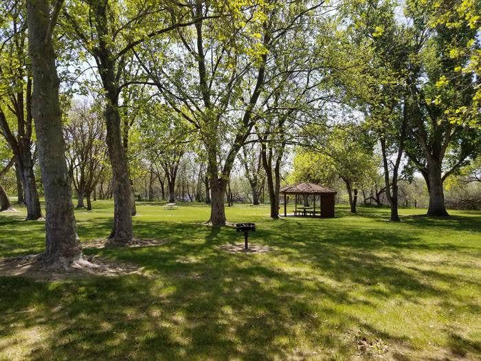 Camper submitted image from Plymouth Park Campground - 3