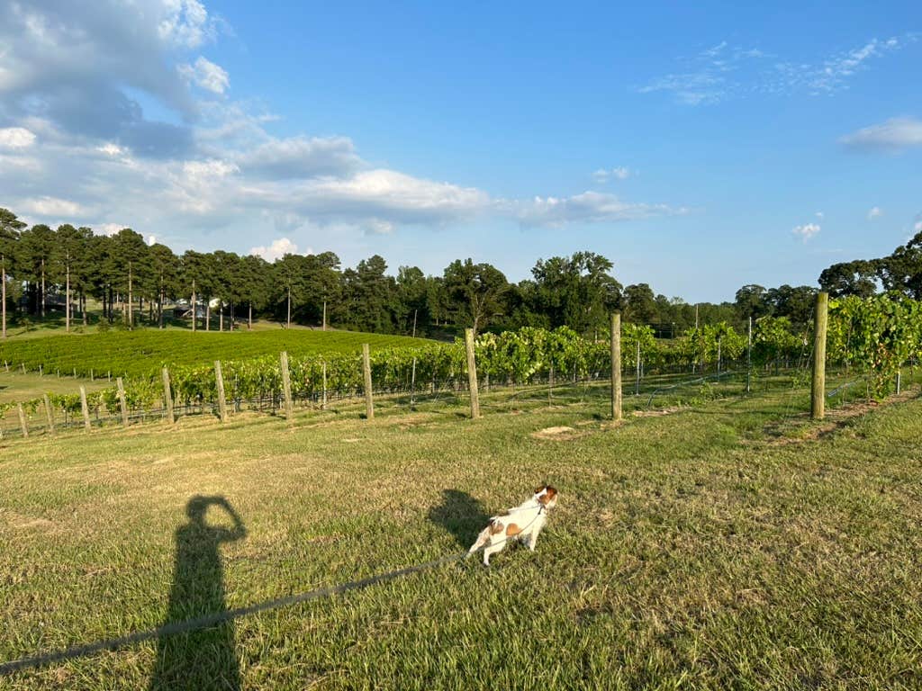 Robin G.'s photo of camping with pets at Landry Vineyards Grape Escape RV Sites near Monroe, LA