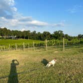 Review photo of Landry Vineyards Grape Escape RV Sites by Robin G., June 26, 2024