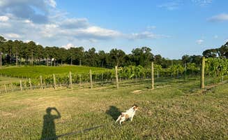 Robin G.'s photo of camping with pets at Landry Vineyards Grape Escape RV Sites near West Monroe, LA