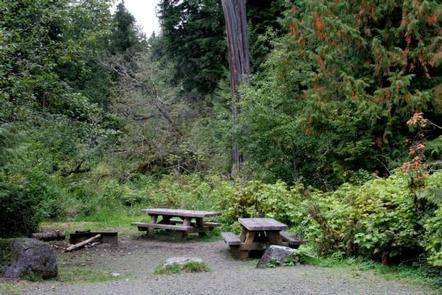 Camper submitted image from Shannon Creek Campground - 3