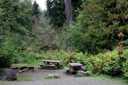 Camper submitted image from Shannon Creek Campground - 4