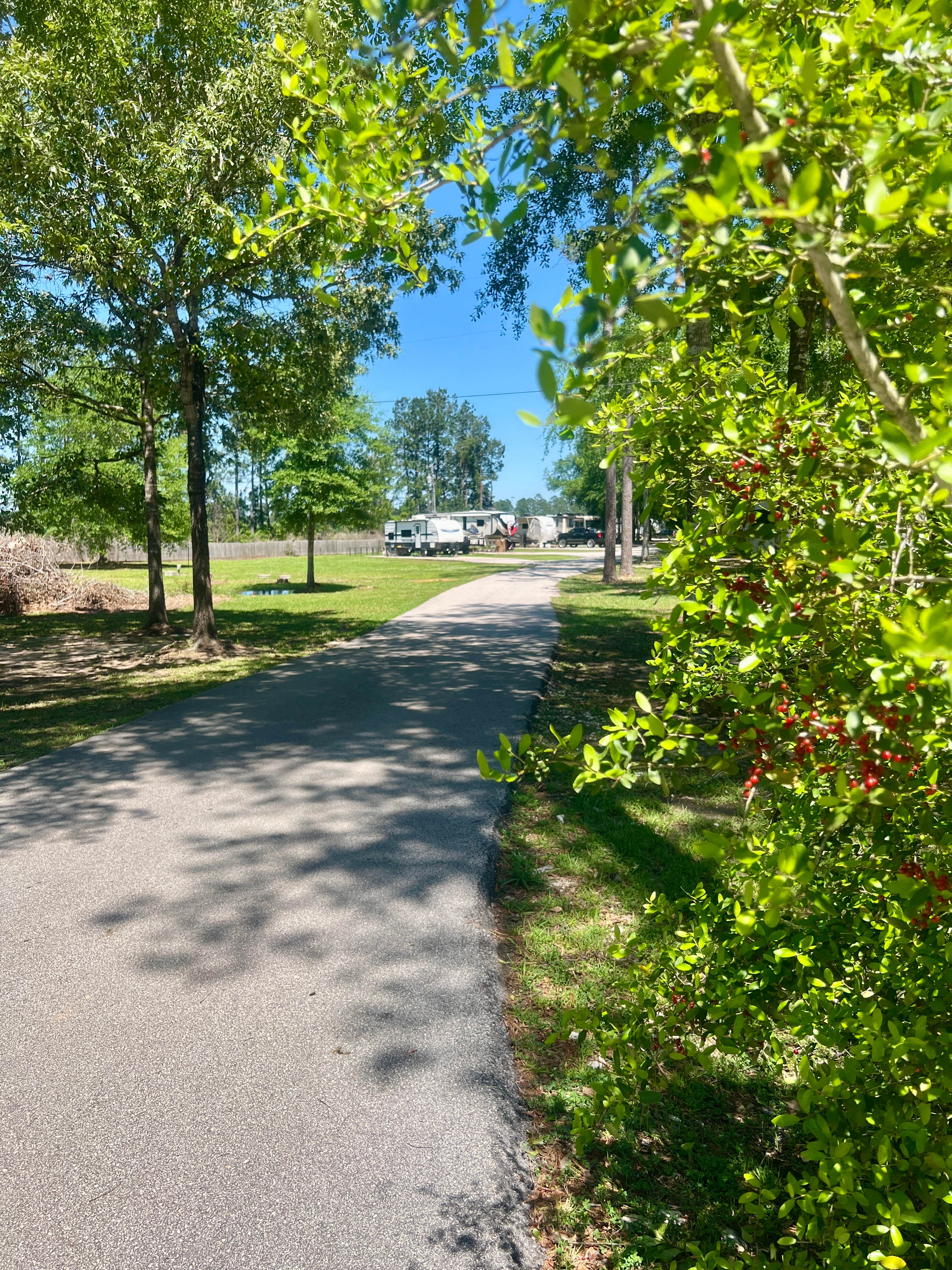 Camper-submitted photo at Pleasant Pines RV Park near Village Mills, TX