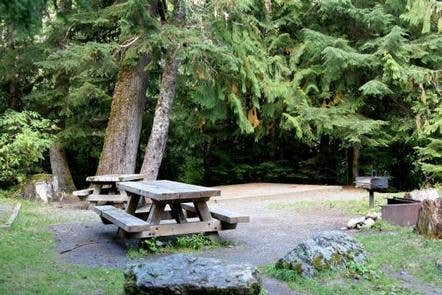 Camper submitted image from Silver Fir Campground - 5