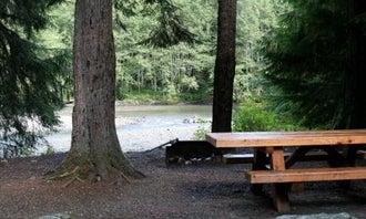 Camping near Mazama Lake on Chain Lakes Trail: Silver Fir Campground, Maple Falls, Washington