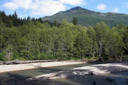Camper submitted image from Silver Fir Campground - 4