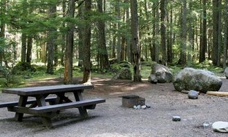 Camping near Mather Memorial Parkway (SR 410): Silver Springs Campground, Greenwater, Washington