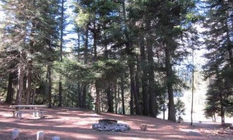 Camping near Rimrock Lake Resort: South Fork Group Site - Wenatchee Nf (WA), White Pass, Washington
