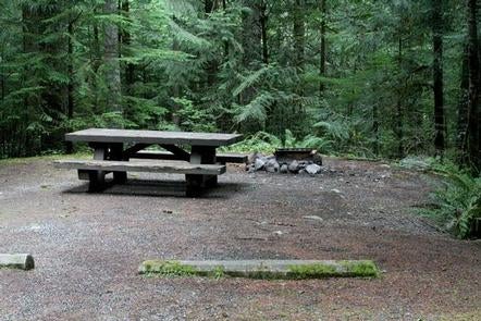 Camper submitted image from Tinkham Campground - 3