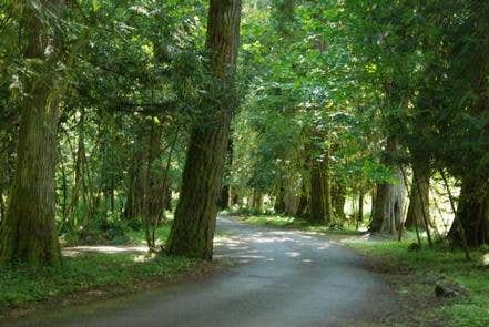 Roads