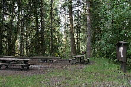 Camper submitted image from Tulalip Group Camp - 5