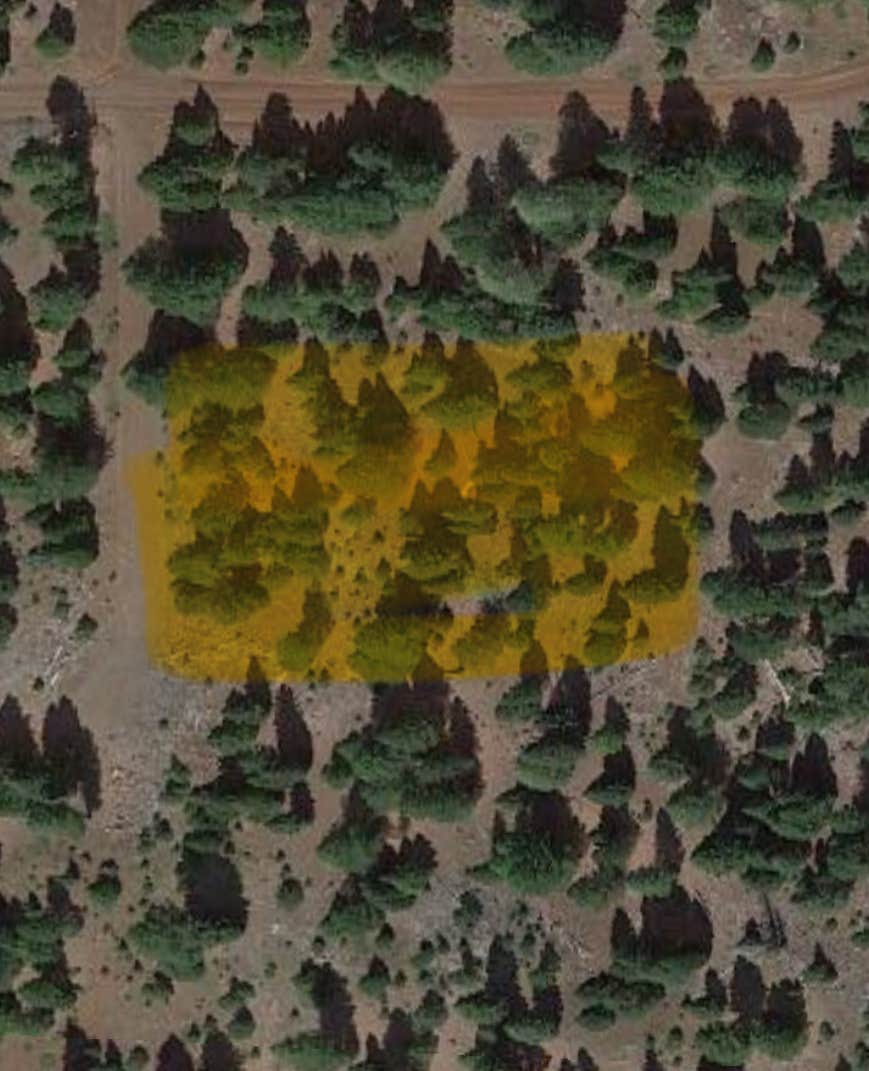 Camping near Ash Creek: Cal Pines, McArthur, California