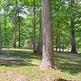 Review photo of Yellowwood State Forest by Cynthia K., June 27, 2024