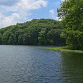 Review photo of Yellowwood State Forest by Cynthia K., June 27, 2024