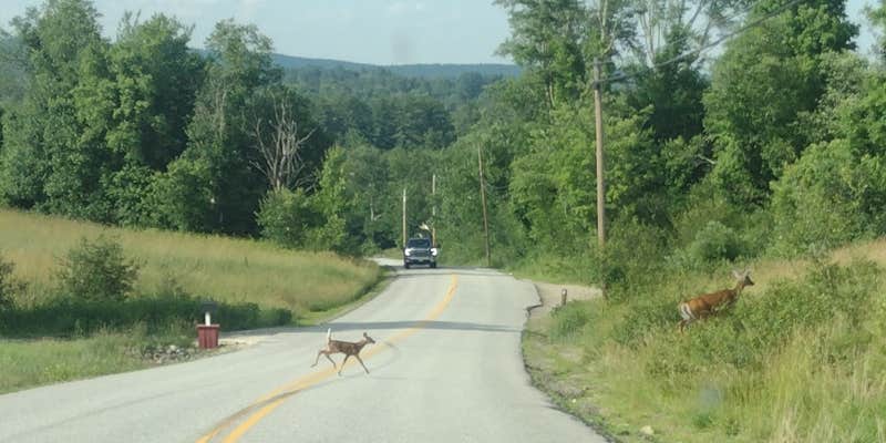 Camper submitted image from Peverly Place