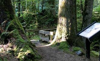 Camping near Squire Creek Park & Campground: Verlot Campground, Granite Falls, Washington