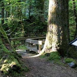 Public Campgrounds: Verlot Campground