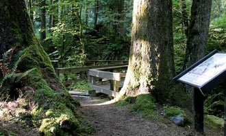 Camping near Paca Pride Guest Ranch: Verlot Campground, Mt. Baker-Snoqualmie National Forest, Washington