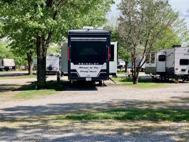 Camper submitted image from Clarksville RV Resort by Rjourney - 4