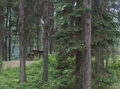 Camper submitted image from Colville National Forest West Sullivan Campground - 1