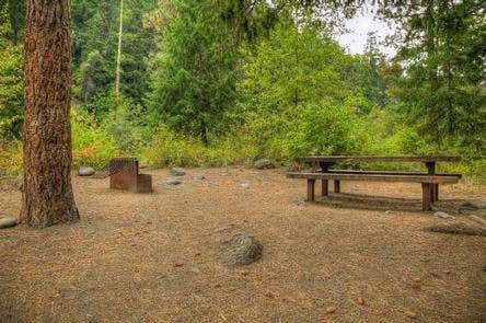 Camper submitted image from Willows Campground - 4