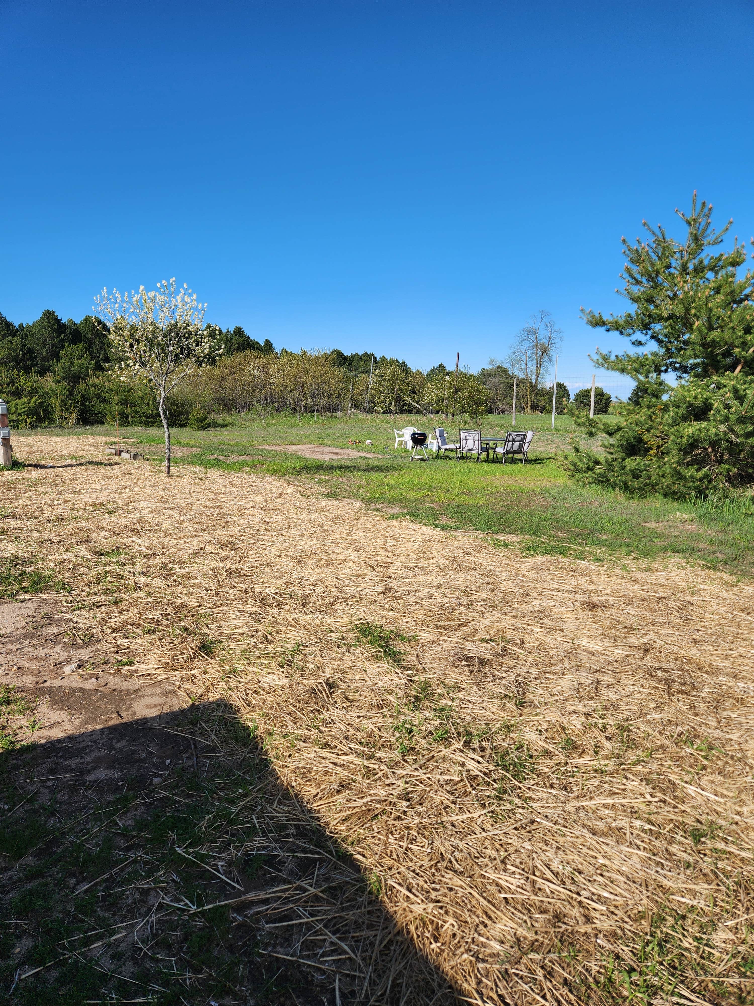 Jessica B.'s photo of camping with pets at Farm Stay Campsite near Petoskey, MI