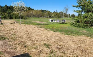 Jessica B.'s photo of camping with pets at Farm Stay Campsite near Cross Village, MI