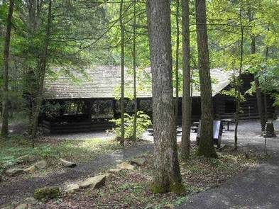 Camper submitted image from Monongahela National Forest Blue Bend Campground - 2