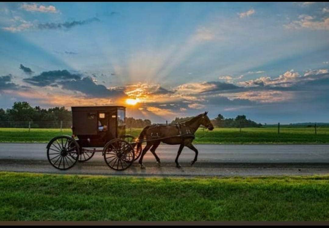 Camping near Stoney Creek Travel Park: Marcella Falls RV Park and Campground, Summertown, Tennessee